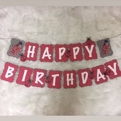 Miraculous ladybug party decorations