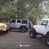 Ms. Jeep