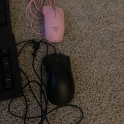 2 Razer Gaming Mouse 1 Razer Keyboard 1 Steel series Gaming Keyboard 