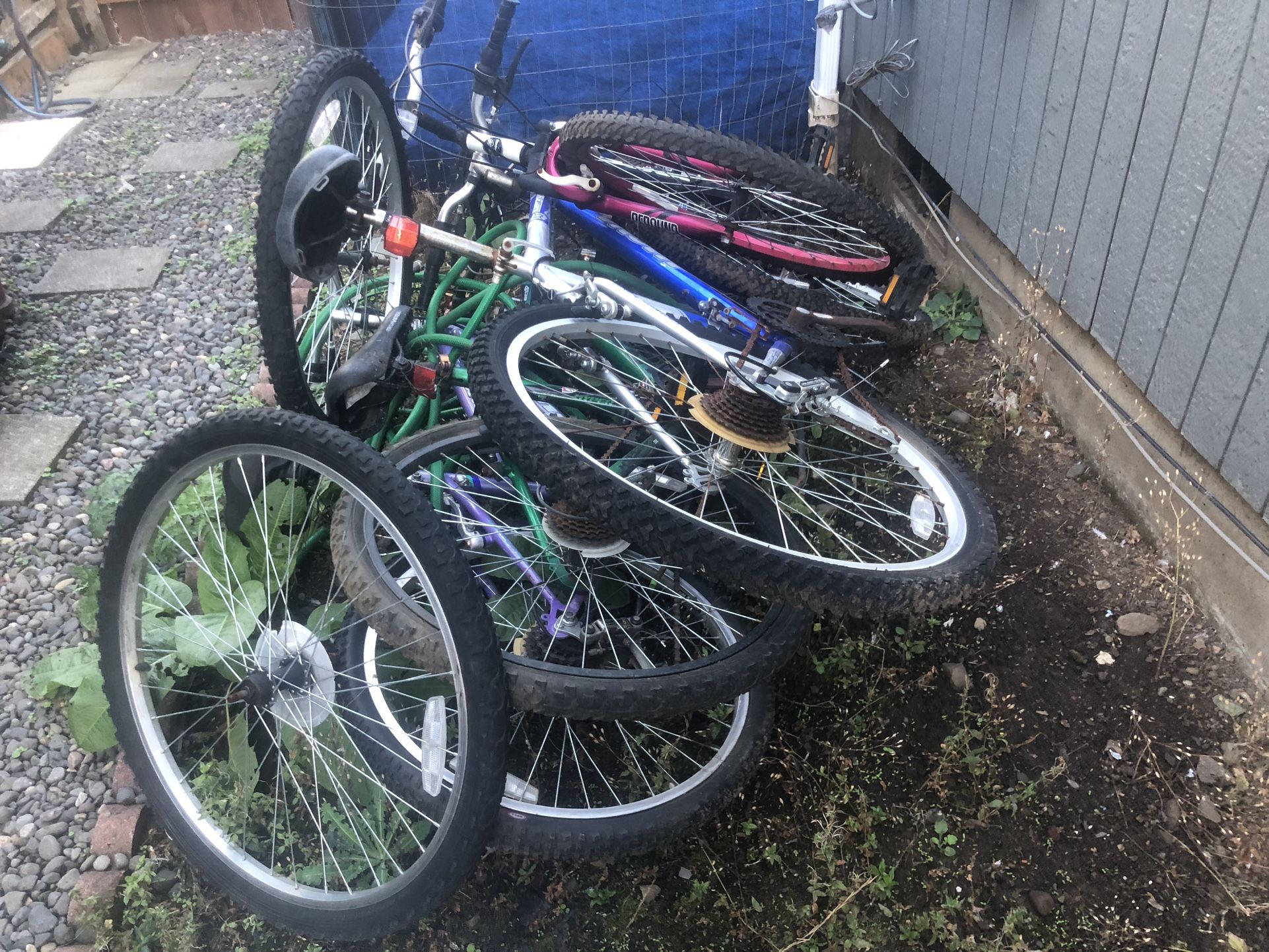 Bunch Of Bike