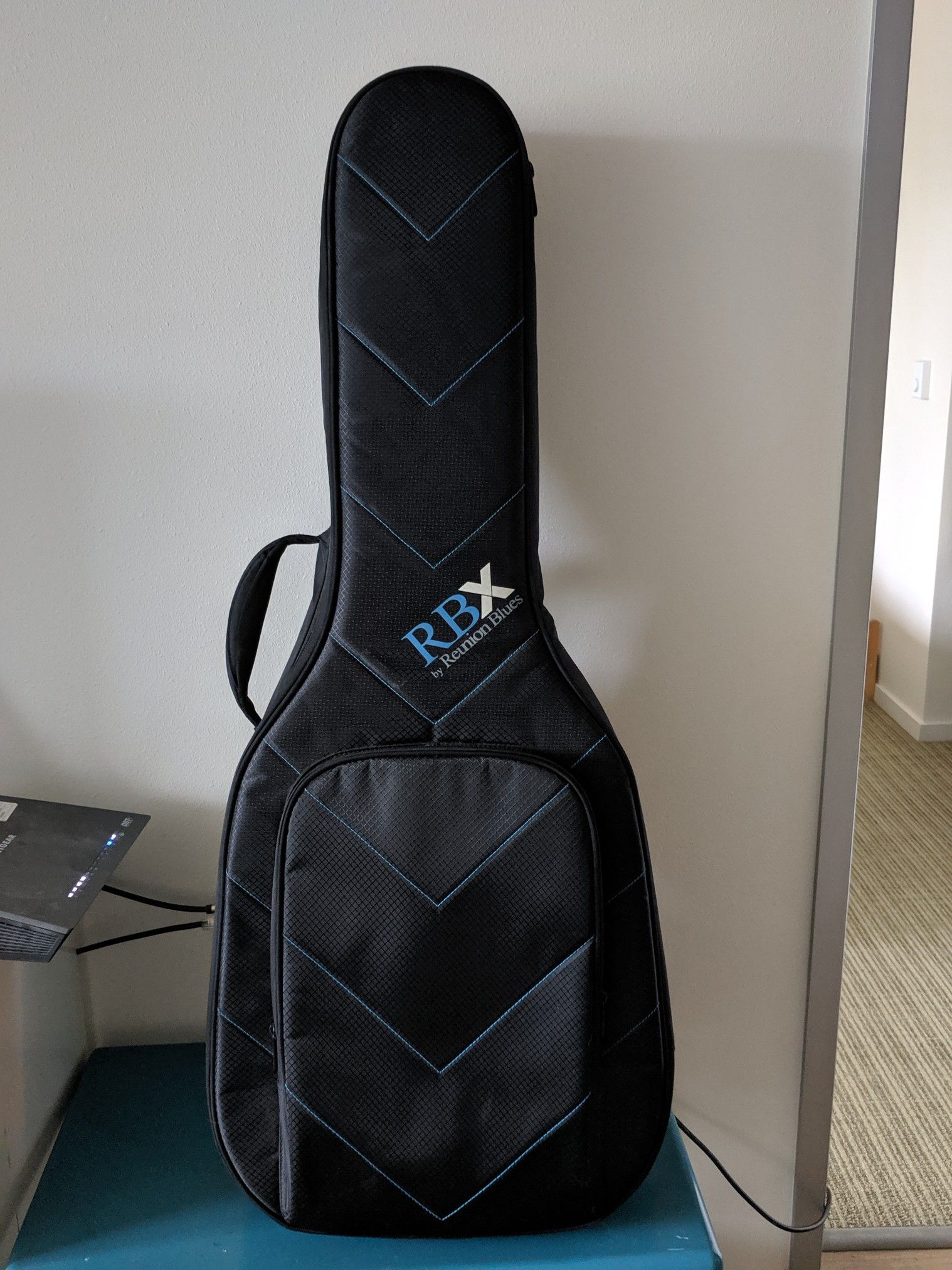 Reunion Blues RBXA2 Guitar Bag Case