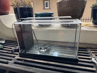 5 gallon tank