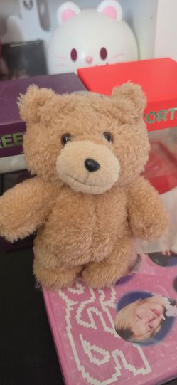 Popmart Ted keychain
