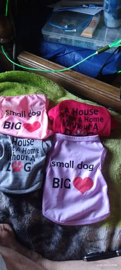 Dog Clothes