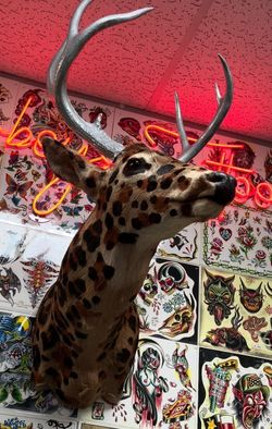 Magical Deer Head