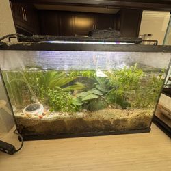 10 Gallon Fish Tank With Accessories 