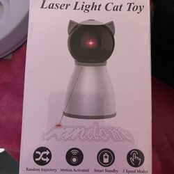 Kitty Laser Light Play Time
