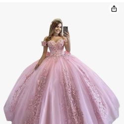 Pink Quinceañera Dress Size 12 Never Worn 