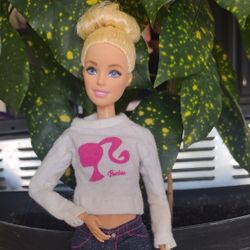 Barbie Ice Skating Coach 🩷🩷🩷