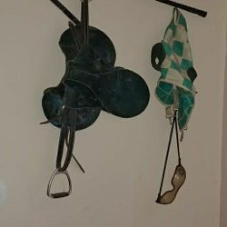 Horse racing equipment