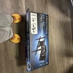 Mobile TV Mount
