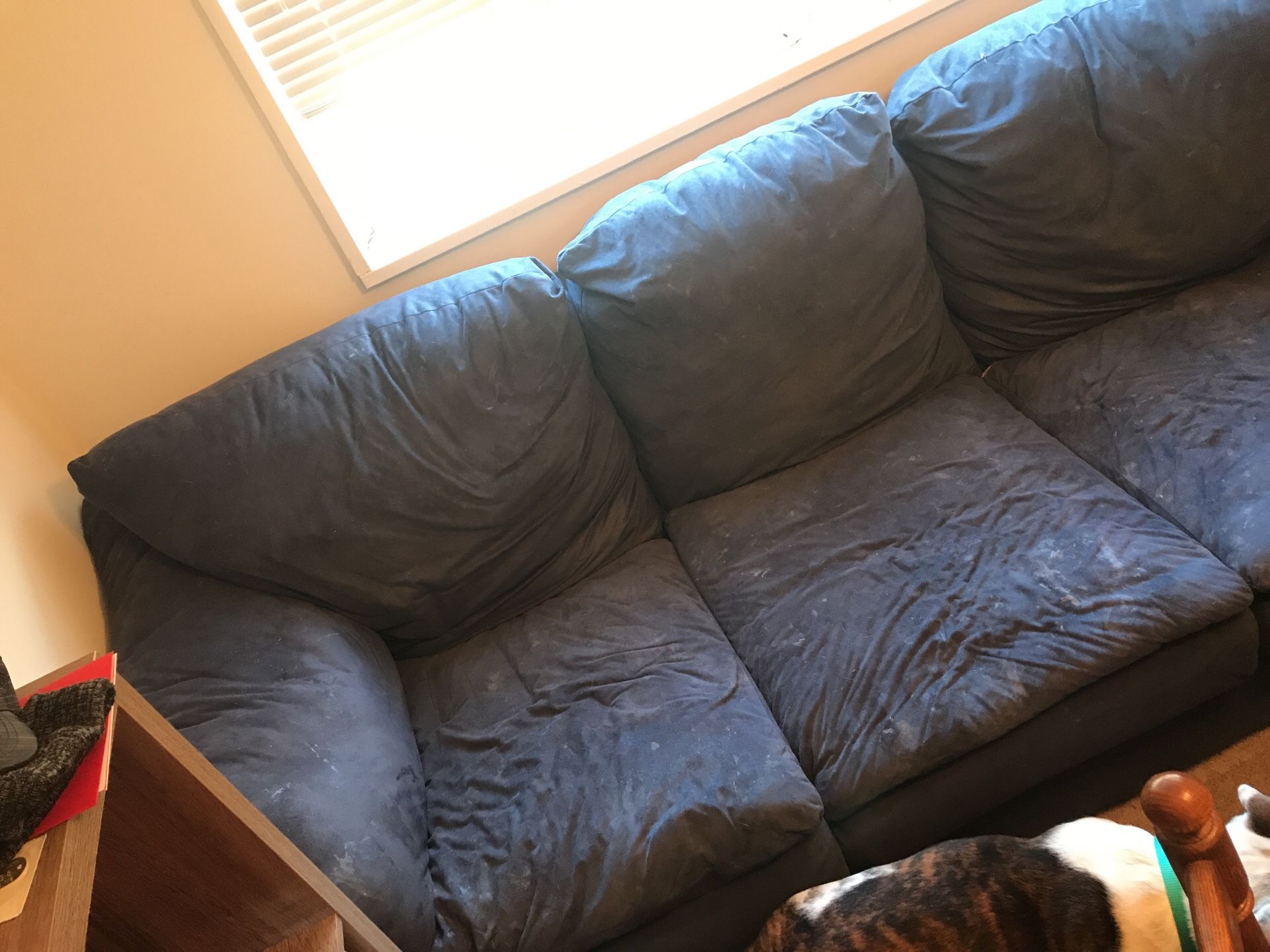 Used couch (FREE)