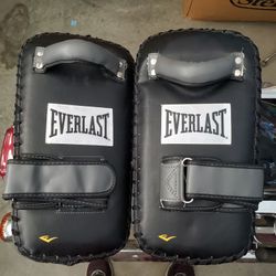 Everlast Thai Pads