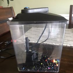 1 Gallon Fish Tank