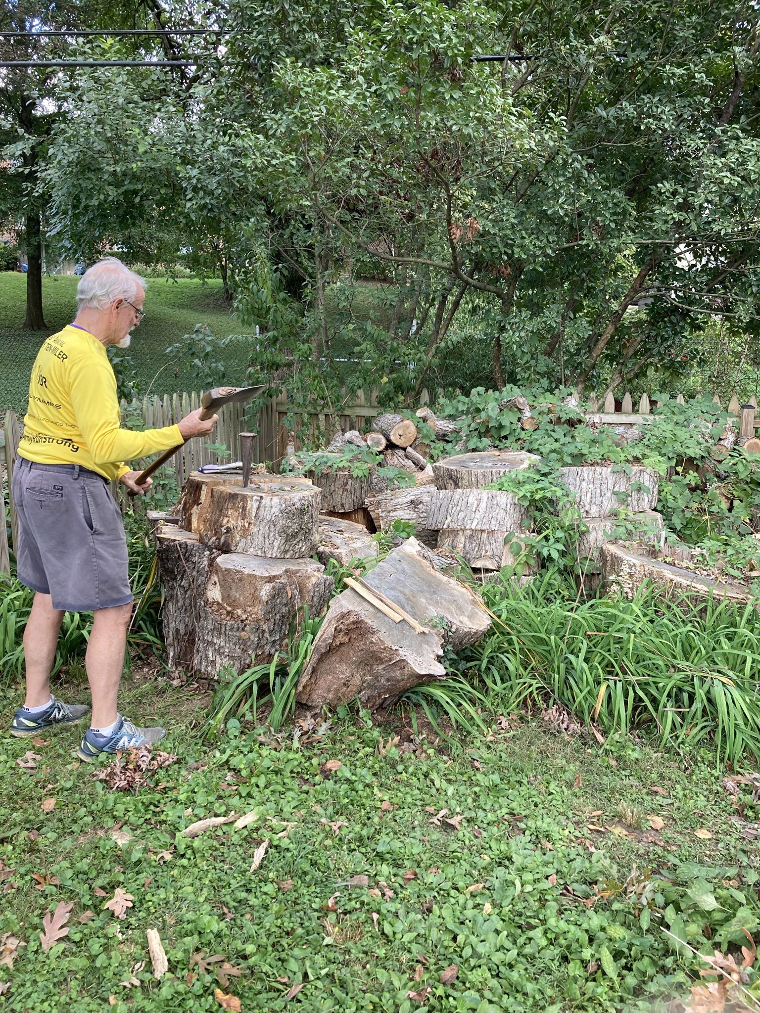 Oak Firewood