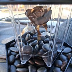 The Rose That Doesn't Die. Valentines Gift For Her 