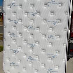 Queen Mattress + 5” Low Profile Box Spring Set