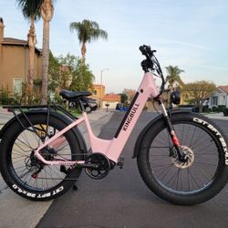 Step Thru Fat Tires Electric Bike 750w