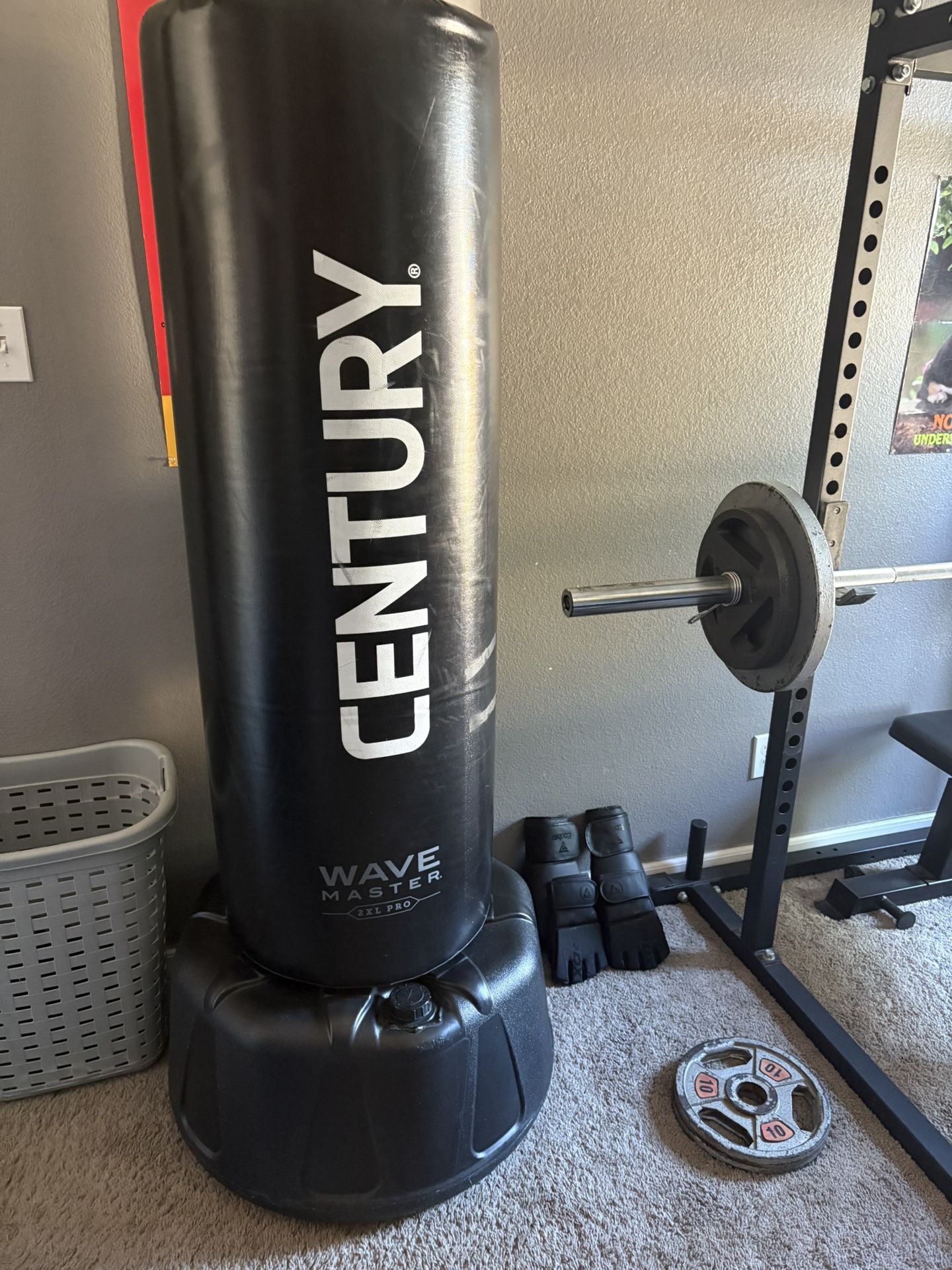 Century Kickboxing Bag