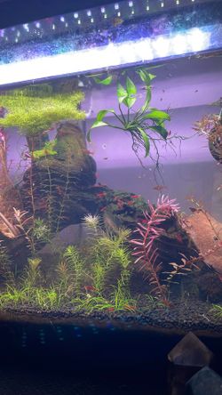 Fake plastic cherry decor for aquarium