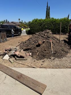 Free free dirt