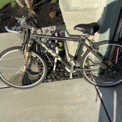 Dynamic Research Bike