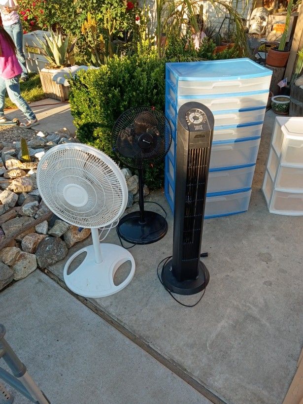 Oscillating Fans
