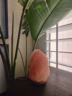 Himalayan Salt Lamp
