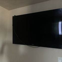 TV - Sony Bravia $200 OBO