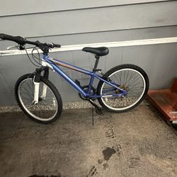 Bike In Good Shape Pu near tully and Monterey Rd SJ CA 95112