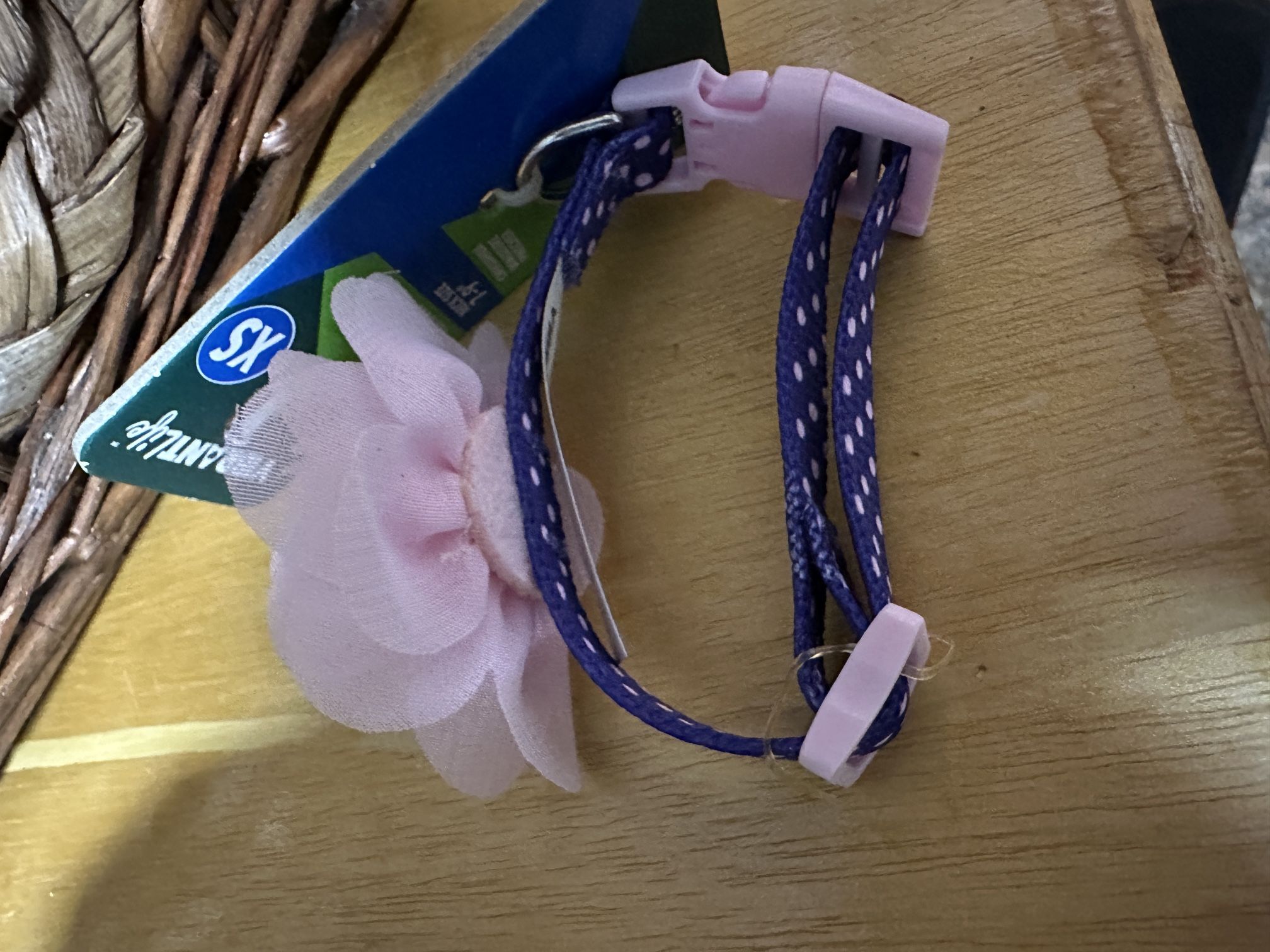 Brand New Small Dog Pet Collar