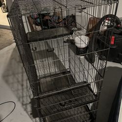 Animal Cage 