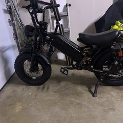 Electric Bike 