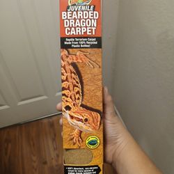 Beared Dragon Carpet