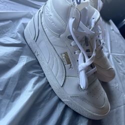 Puma