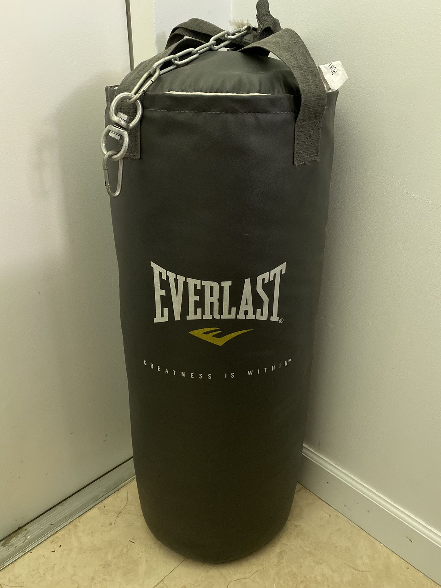 Everlast 80lb punching bag