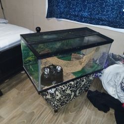 Reptile Tank Very BIG COME WITH EVERYTHING 