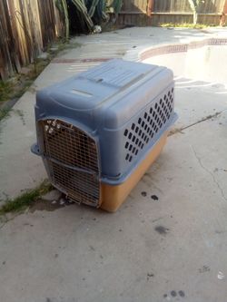 Pet cage