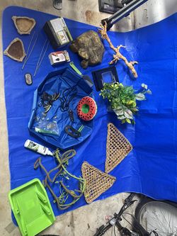 Terrarium, supplies & decor