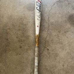 Baseball Bat