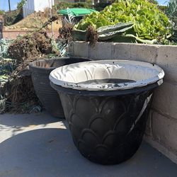 Free large pots