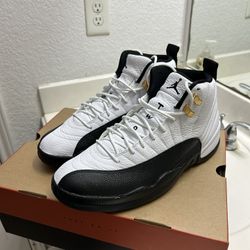 Air Jordan Taxi 12s