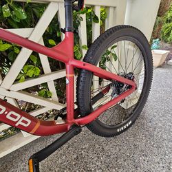 REI Mountain Bike DRT 1.2
