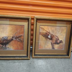 Selina Taylor Artwork - Set Of 2 - Pheasants