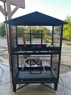 Bird Cage