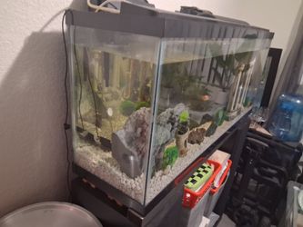 Big 55 gallon  fish tank for sale !!