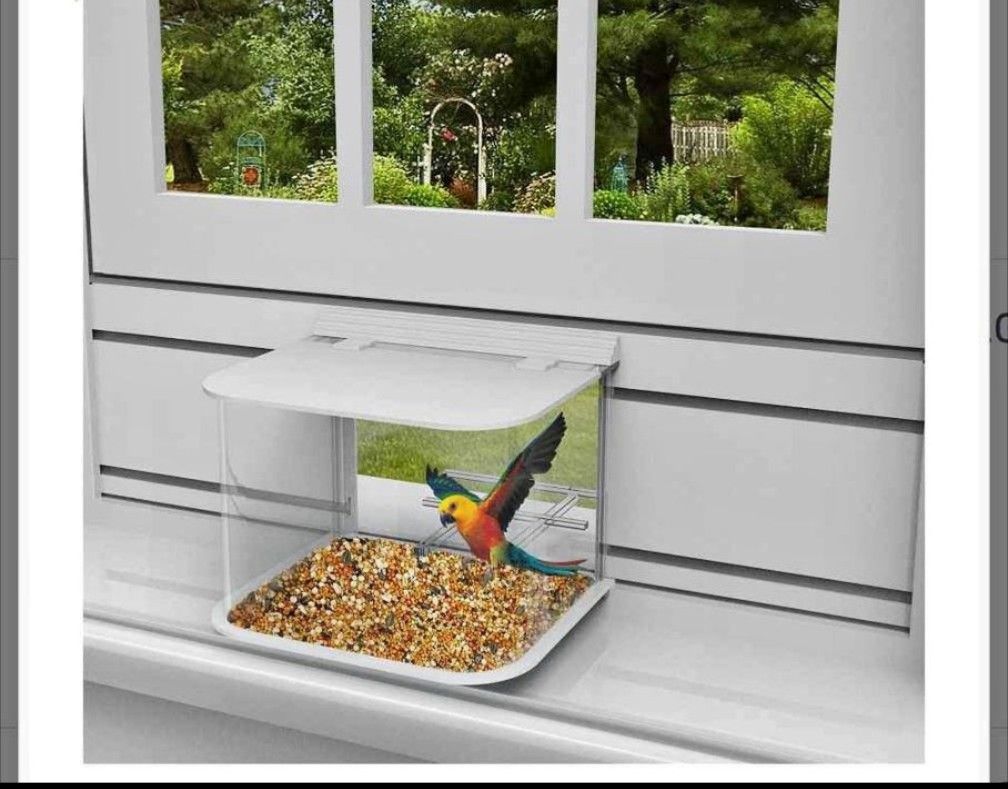 Bird Feeder