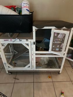Bunny cage