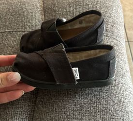Tom’s Toddler Size 8c
