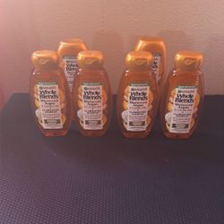 Garnier Whole Blends Shampoo & Conditioner $18